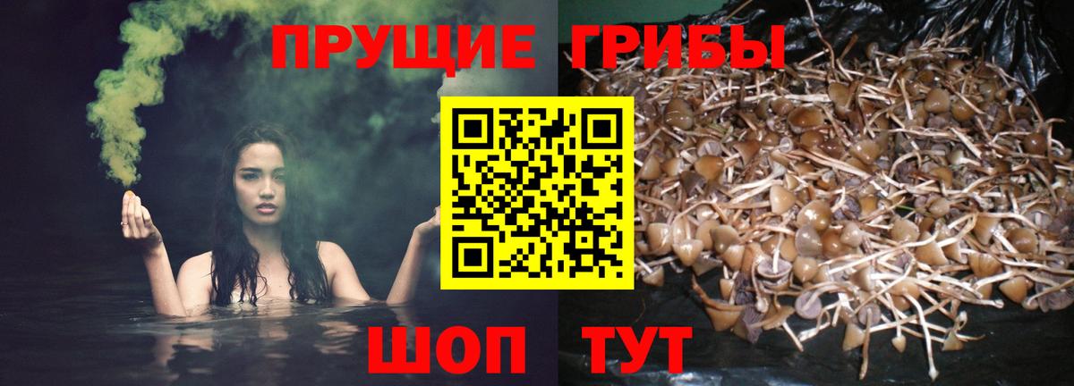 Галлюциногенные грибы мухоморы Ялуторовск